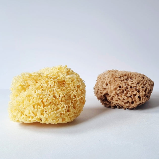 Givereldi Unbleached Honeycomb Natural Sea Sponge - Strong Type