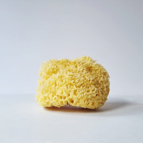 Honeycomb Natural Sea Sponge - Gold, shower and bath, ELYTRUM, 