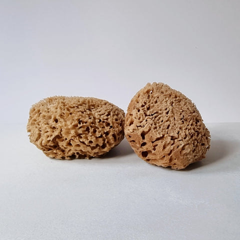 Givereldi Unbleached Honeycomb Natural Sea Sponge - Strong Type