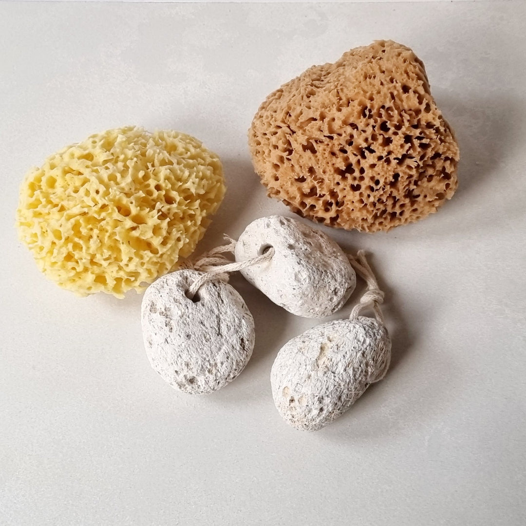 Natural Honeycomb Sea Sponge - Gold