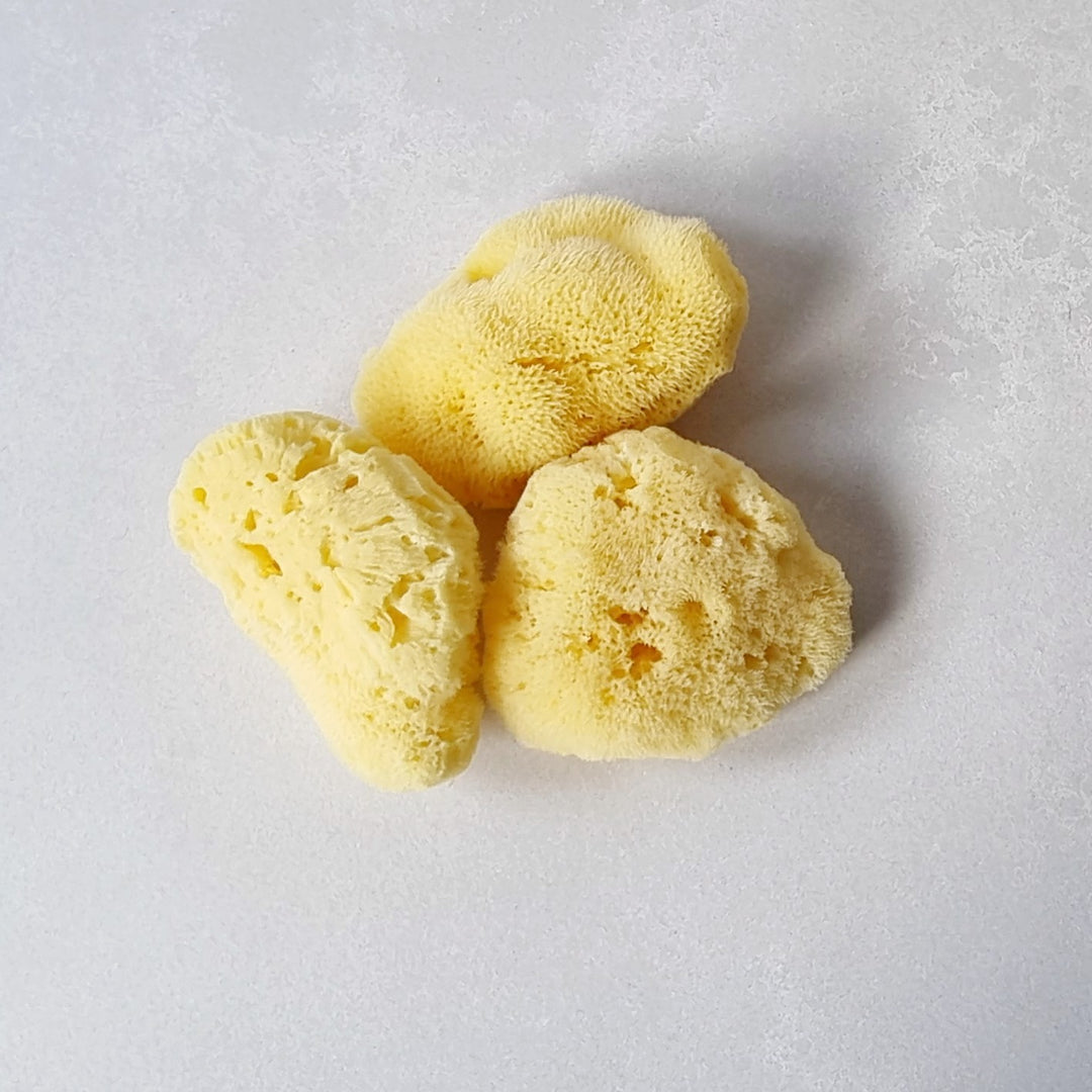 Natural Fine Silk Sponge - Gold