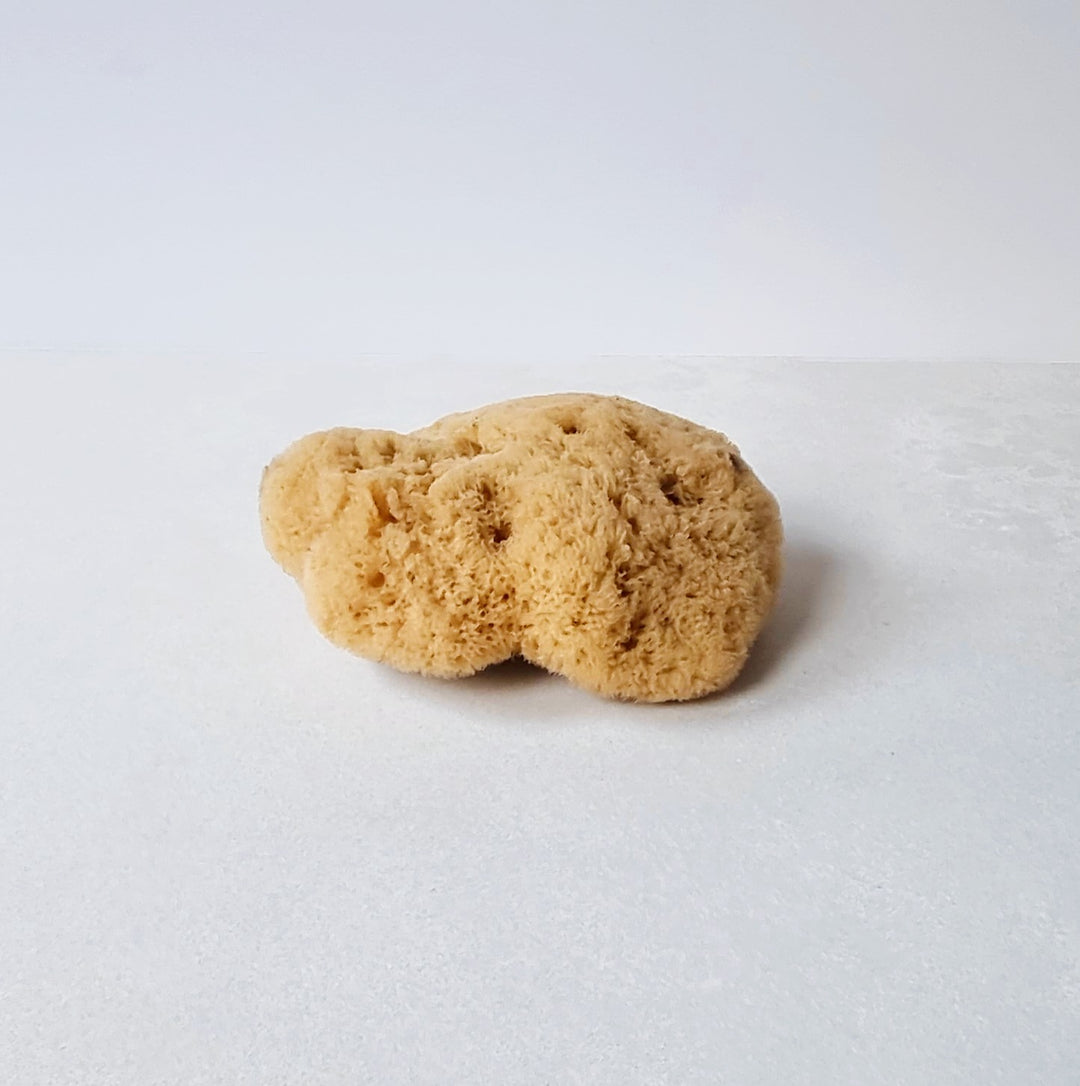 Natural Fine Silk Sponge - 12cm