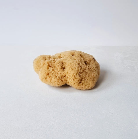 Natural Fine Silk Sea Sponge Unbleached, sensitive skin and baby bath, sustainable and ethically harvested, ELYTRUM, UK