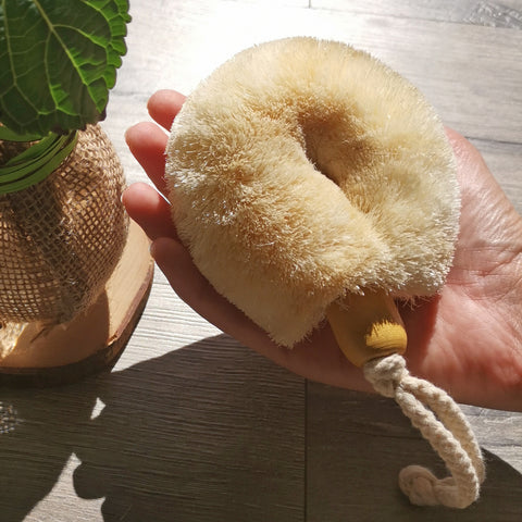 Natural cactus sisal bristles body brush for use with a natural soap in a shower or bath, or wet and dry body brushing. fits perfectly into a palm - ELYTRUM
